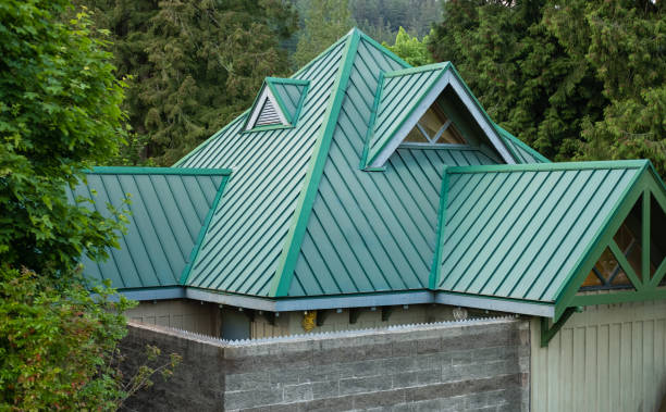 Best Skylight Installation and Repair  in Midtown, TN